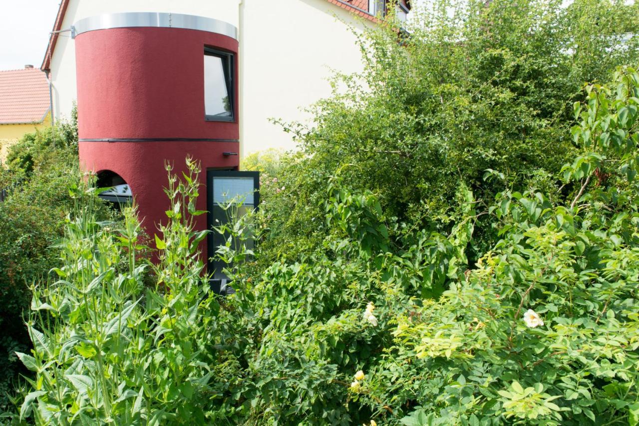 Das Alte Kino In Barth - Das Gartenhaus Eksteriør billede